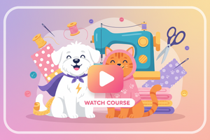 CURSO EN VIDEO PASO A PASO